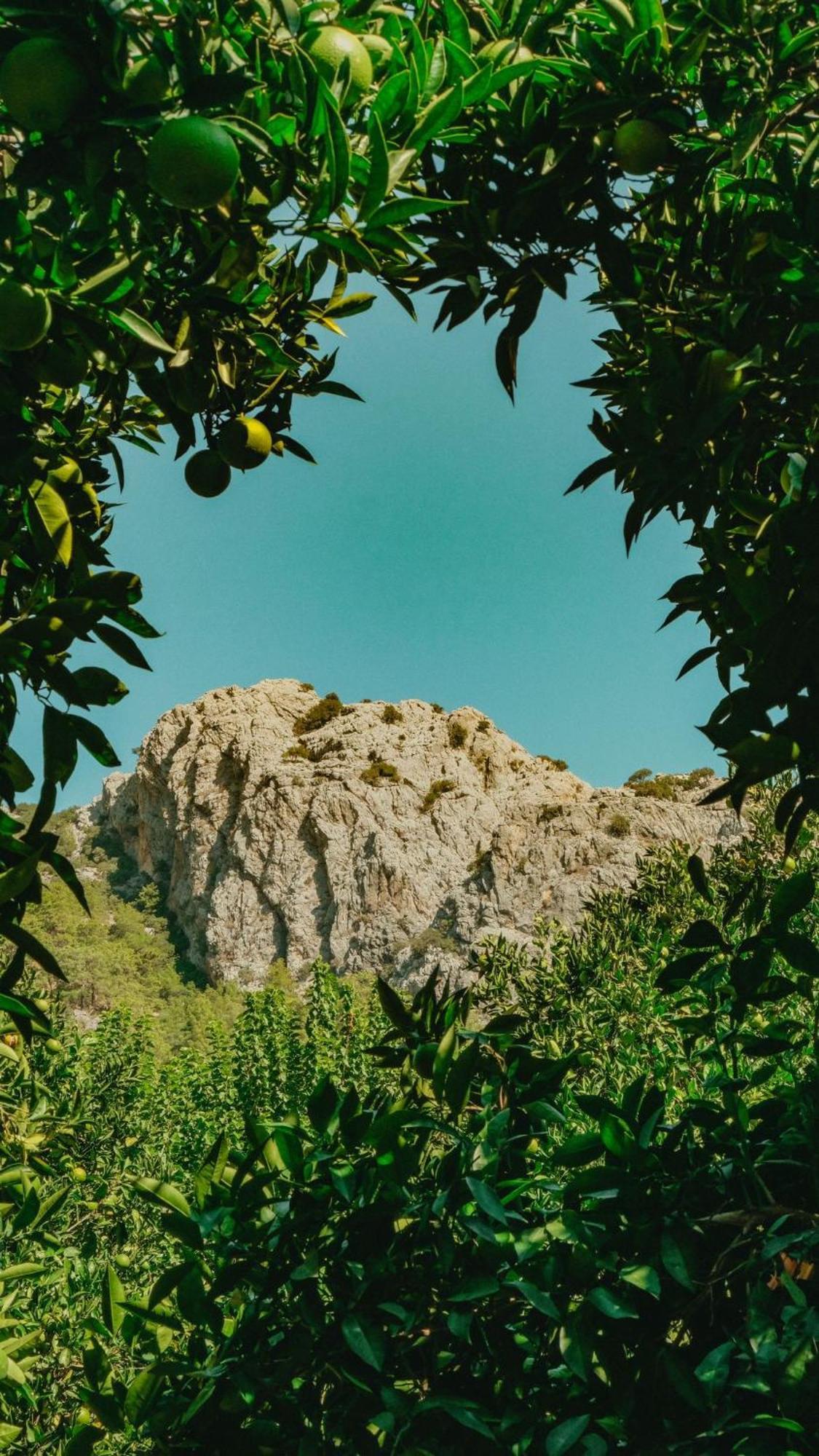 Sheriff, Olympos Kumluca المظهر الخارجي الصورة